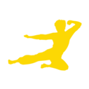 Bruce Lee logo